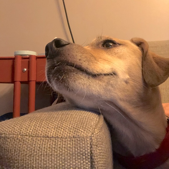 Meet your Posher, Mary - Picture 1 of 1